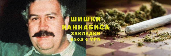 индика Алзамай