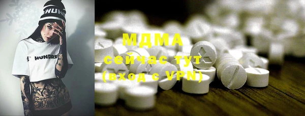 хмурый Алексин