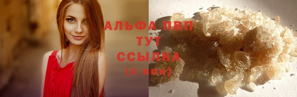 spice Абаза
