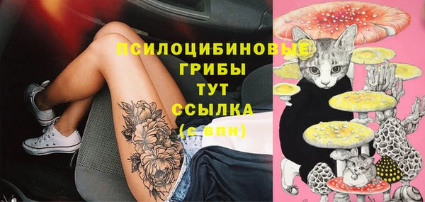 хмурый Алексин