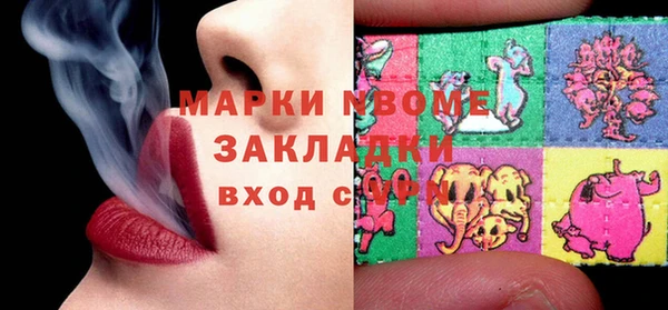 хмурый Алексин