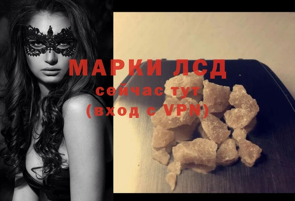 индика Алзамай