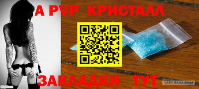 spice Гай