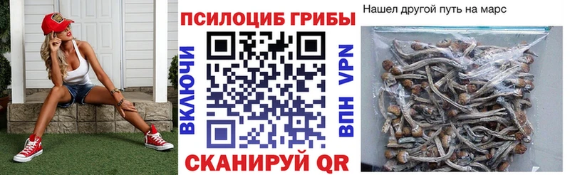 наркота  Каменск-Уральский  Галлюциногенные грибы мухоморы 