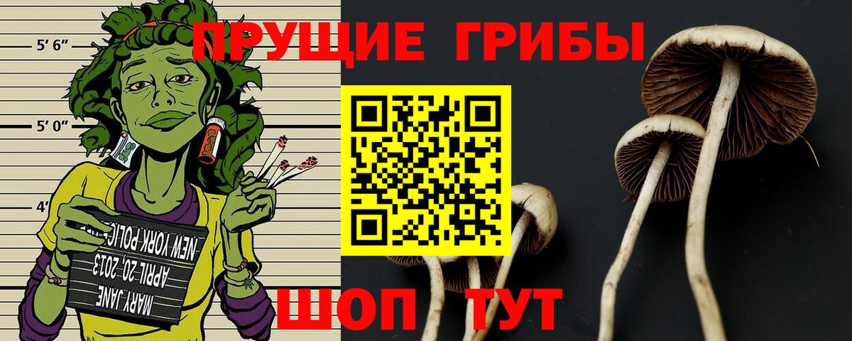 Галлюциногенные грибы ЛСД Каменск-Уральский