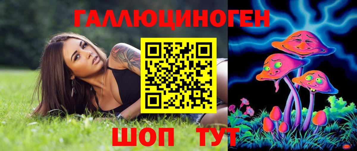 Каменск-Уральский  Псилоцибиновые грибы Psilocybine cubensis  Псилоцибиновые грибы Cubensis  Вход с VPN 